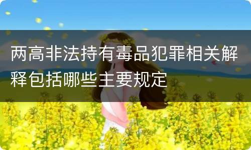 两高非法持有毒品犯罪相关解释包括哪些主要规定