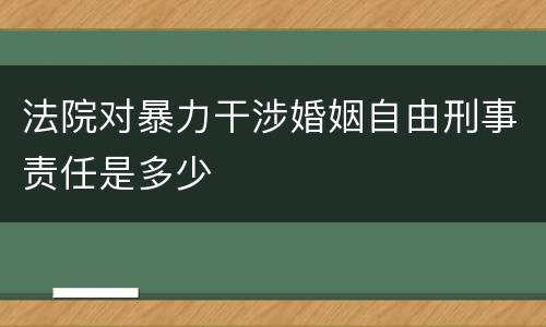 法院对暴力干涉婚姻自由刑事责任是多少