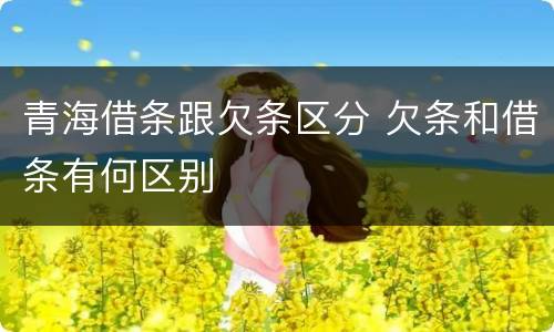 青海借条跟欠条区分 欠条和借条有何区别