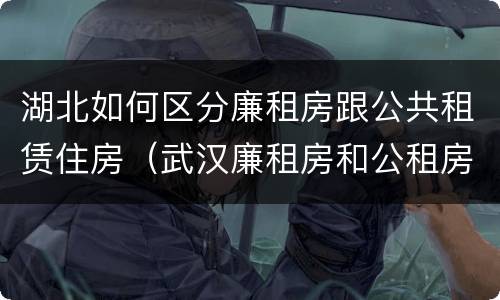 湖北如何区分廉租房跟公共租赁住房（武汉廉租房和公租房的区别）