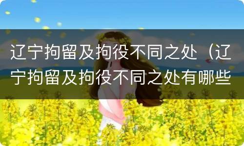 辽宁拘留及拘役不同之处（辽宁拘留及拘役不同之处有哪些）