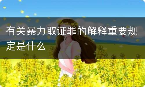 有关暴力取证罪的解释重要规定是什么