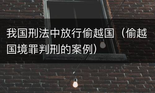 我国刑法中放行偷越国（偷越国境罪判刑的案例）