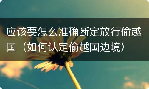 应该要怎么准确断定放行偷越国（如何认定偷越国边境）