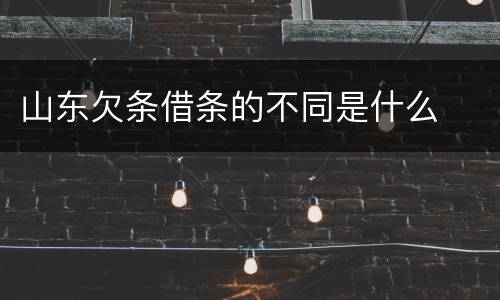 山东欠条借条的不同是什么