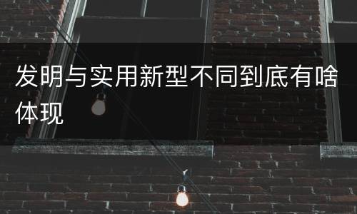 发明与实用新型不同到底有啥体现