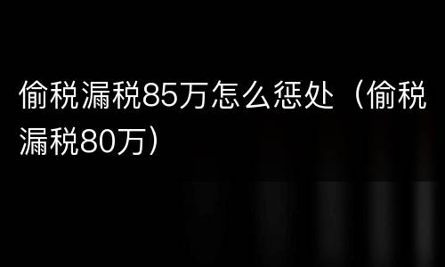偷税漏税85万怎么惩处（偷税漏税80万）