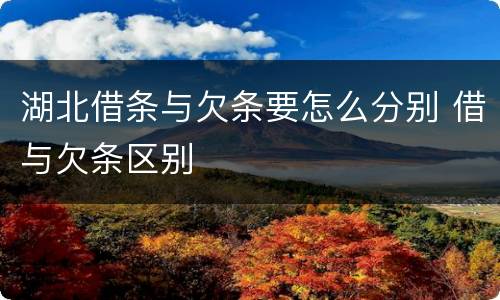 湖北借条与欠条要怎么分别 借与欠条区别
