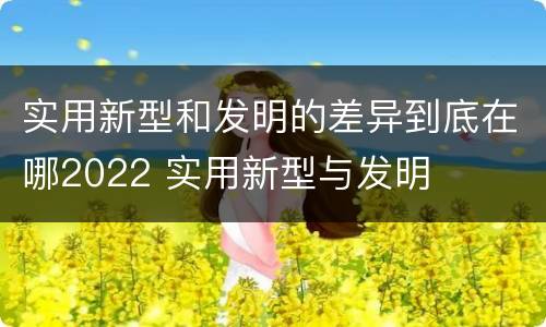 实用新型和发明的差异到底在哪2022 实用新型与发明