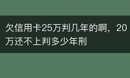 欠信用卡25万判几年的啊，20万还不上判多少年刑