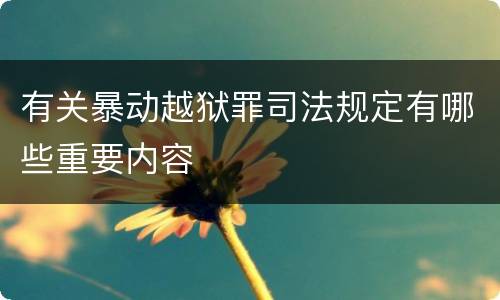 有关暴动越狱罪司法规定有哪些重要内容