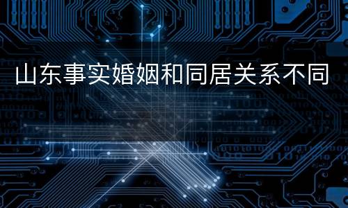 山东事实婚姻和同居关系不同