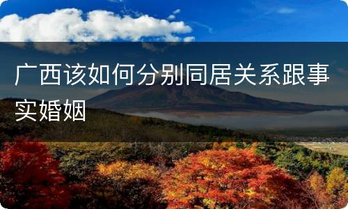 广西该如何分别同居关系跟事实婚姻
