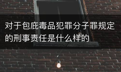对于包庇毒品犯罪分子罪规定的刑事责任是什么样的