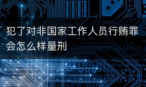 犯了对非国家工作人员行贿罪会怎么样量刑