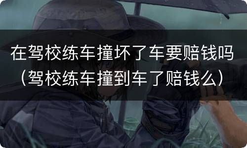在驾校练车撞坏了车要赔钱吗（驾校练车撞到车了赔钱么）