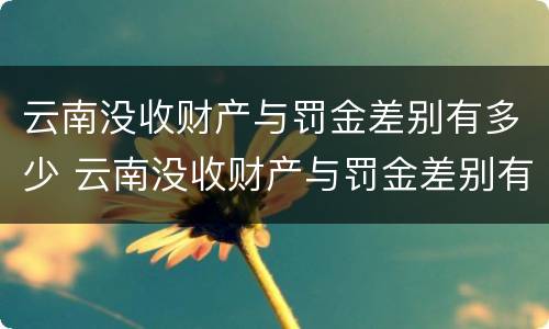 云南没收财产与罚金差别有多少 云南没收财产与罚金差别有多少钱