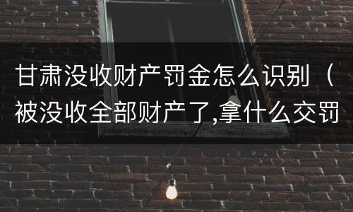甘肃没收财产罚金怎么识别（被没收全部财产了,拿什么交罚金）