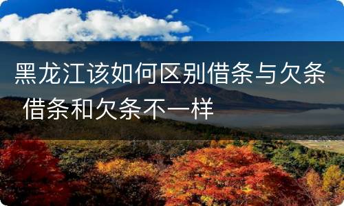 黑龙江该如何区别借条与欠条 借条和欠条不一样