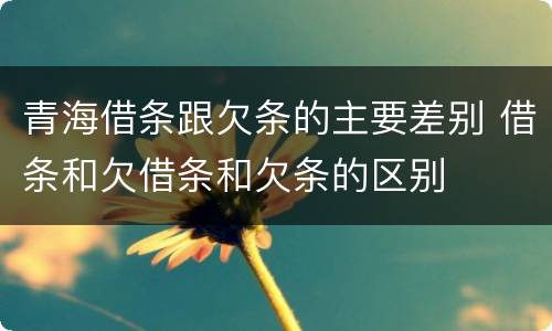 青海借条跟欠条的主要差别 借条和欠借条和欠条的区别