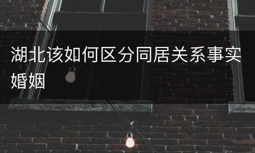 湖北该如何区分同居关系事实婚姻