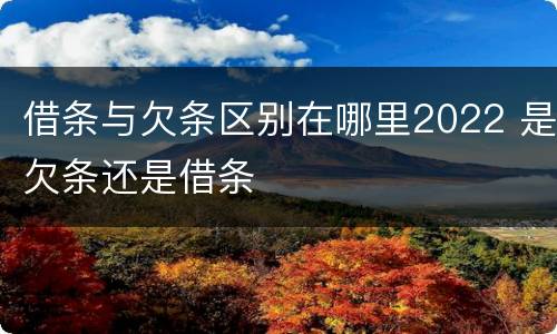 借条与欠条区别在哪里2022 是欠条还是借条