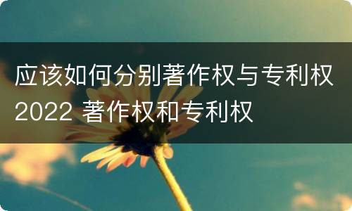 应该如何分别著作权与专利权2022 著作权和专利权