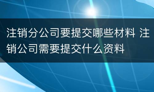 注销分公司要提交哪些材料 注销公司需要提交什么资料