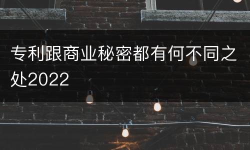 专利跟商业秘密都有何不同之处2022