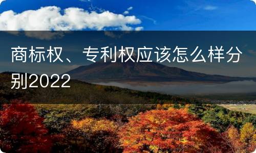 商标权、专利权应该怎么样分别2022