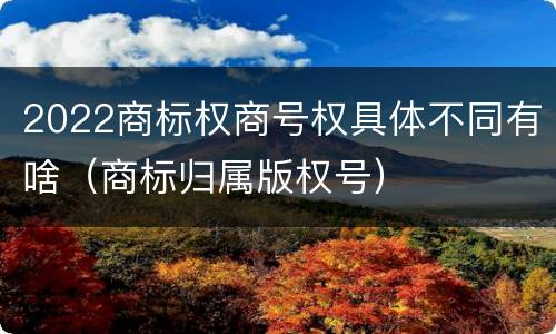 2022商标权商号权具体不同有啥（商标归属版权号）