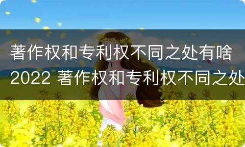 著作权和专利权不同之处有啥2022 著作权和专利权不同之处有啥2022年的