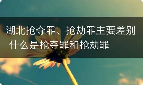湖北抢夺罪、抢劫罪主要差别 什么是抢夺罪和抢劫罪