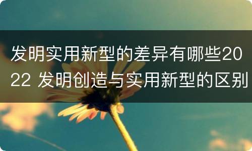 发明实用新型的差异有哪些2022 发明创造与实用新型的区别