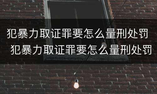 犯暴力取证罪要怎么量刑处罚 犯暴力取证罪要怎么量刑处罚的