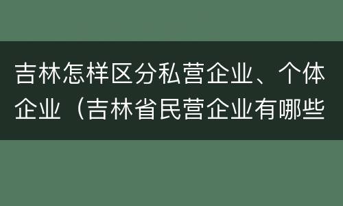 吉林怎样区分私营企业、个体企业（吉林省民营企业有哪些）
