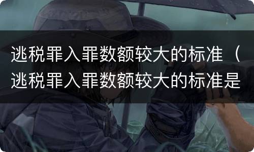 逃税罪入罪数额较大的标准（逃税罪入罪数额较大的标准是什么）