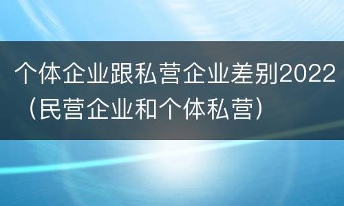 个体企业跟私营企业差别2022（民营企业和个体私营）