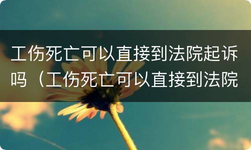 工伤死亡可以直接到法院起诉吗（工伤死亡可以直接到法院起诉吗知乎）
