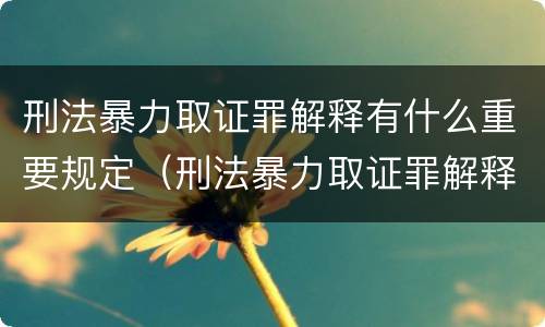 刑法暴力取证罪解释有什么重要规定（刑法暴力取证罪解释有什么重要规定嘛）