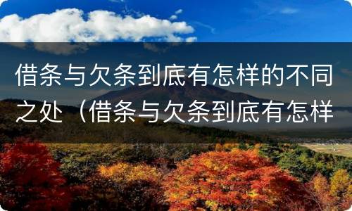 借条与欠条到底有怎样的不同之处（借条与欠条到底有怎样的不同之处和不同）