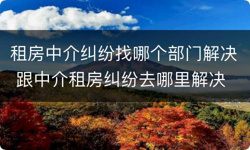 租房中介纠纷找哪个部门解决 跟中介租房纠纷去哪里解决