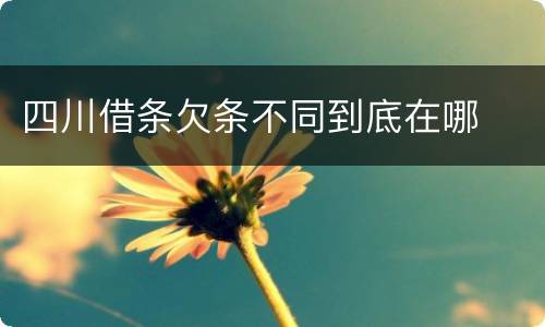 四川借条欠条不同到底在哪