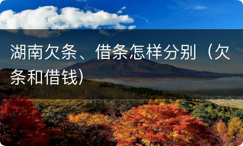 湖南欠条、借条怎样分别（欠条和借钱）