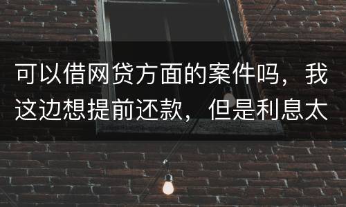 可以借网贷方面的案件吗，我这边想提前还款，但是利息太高