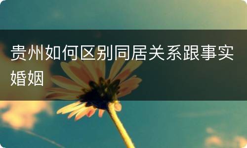 贵州如何区别同居关系跟事实婚姻