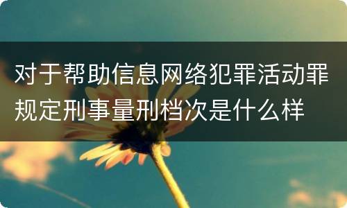 对于帮助信息网络犯罪活动罪规定刑事量刑档次是什么样