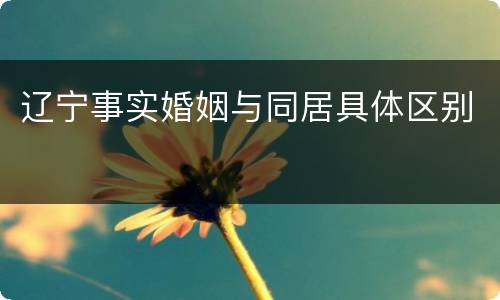 辽宁事实婚姻与同居具体区别
