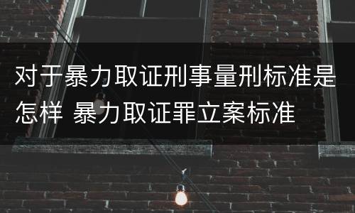 对于暴力取证刑事量刑标准是怎样 暴力取证罪立案标准