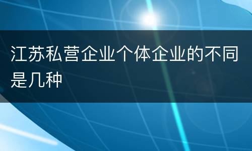 江苏私营企业个体企业的不同是几种